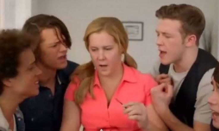 Amy Schumer Excellently Parodies One Direction in New Sketch