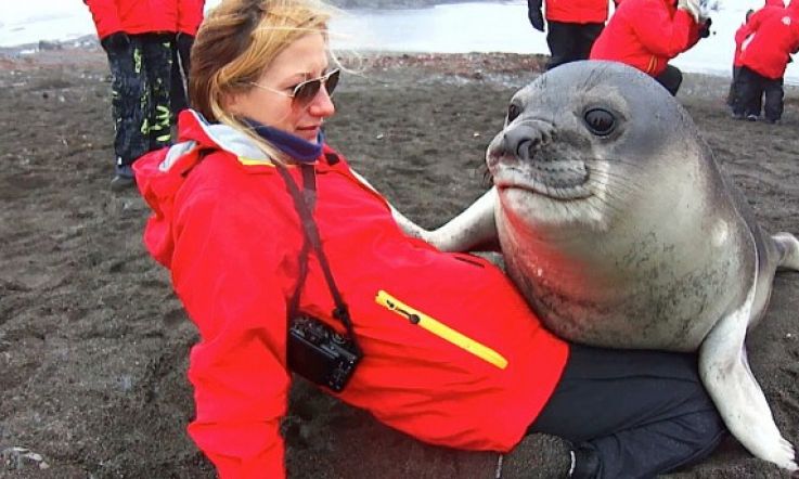 Cute...or Terrifying? Baby Seal Cosies Up to Tourist on Antarctic Island