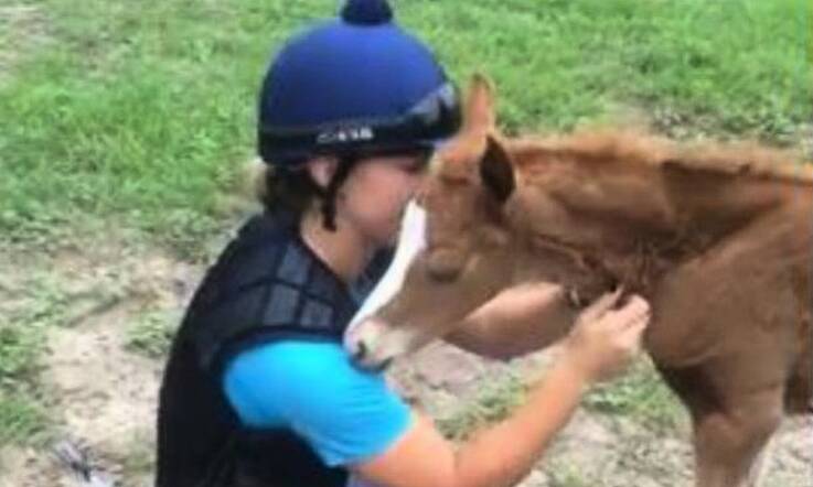 Cuteness Overload: Tiny Foal Gives the Best Hugs