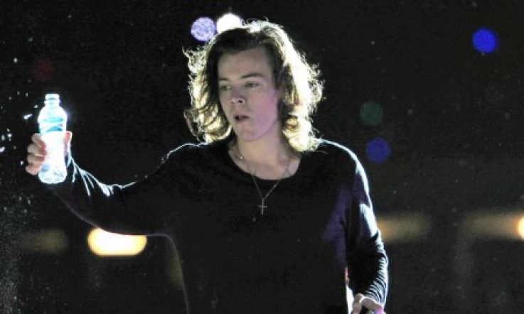 Harry Styles Has a Doppelgänger - and it's a Girl