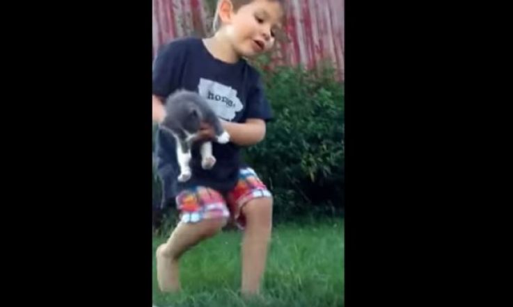 Little Boy's Kitten 'Situation' Is Just ADORABLE