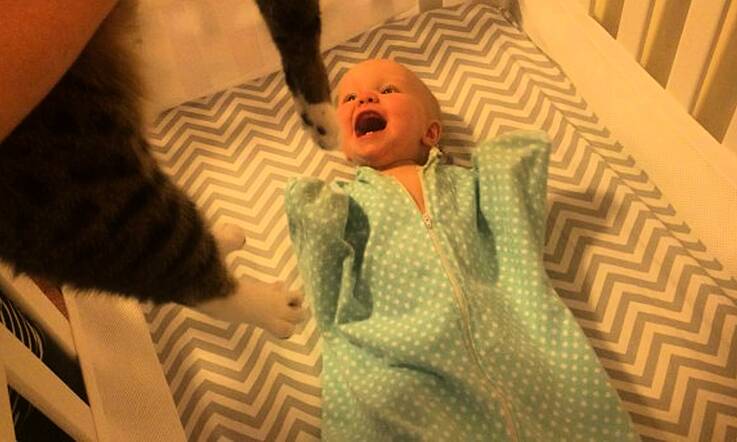 Cat, Meet Baby. Baby, Meet Cat.