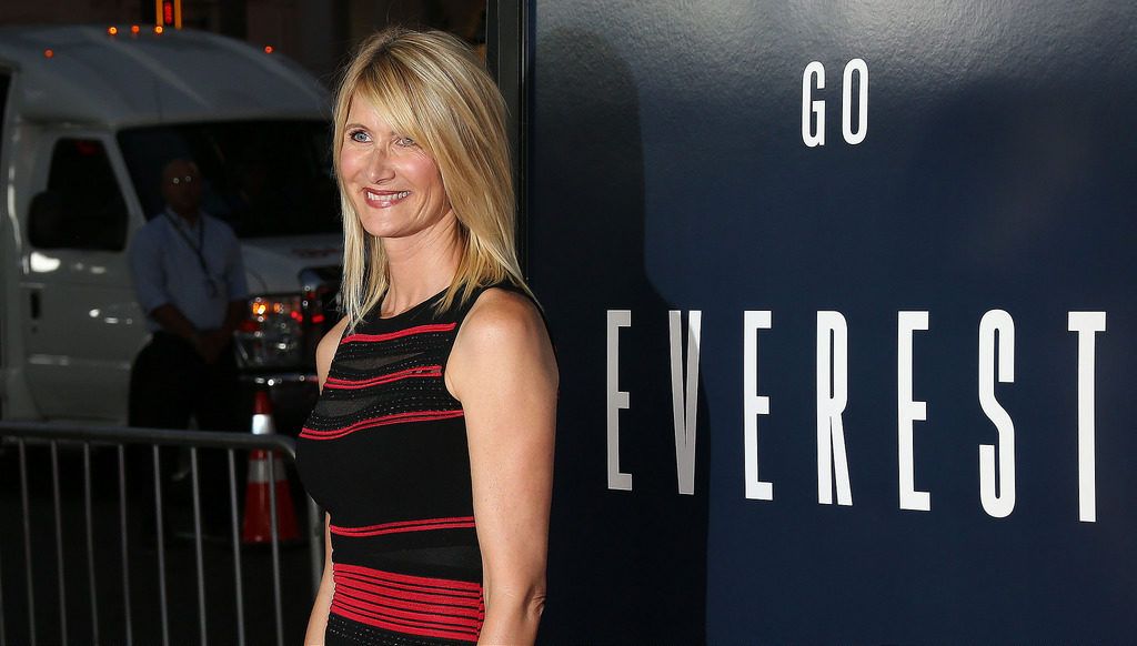 HOLLYWOOD, CA - SEPTEMBER 09:  Actress Laura Dern attends the Premiere of Universal Pictures' "Everest" at the TCL Chinese 6 Theatre on September 9, 2015 in Hollywood, California.  (Photo by Frederick M. Brown/Getty Images)