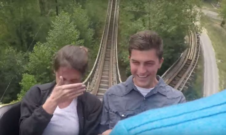 Love is a Rollercoaster: How's This for a Proposal?