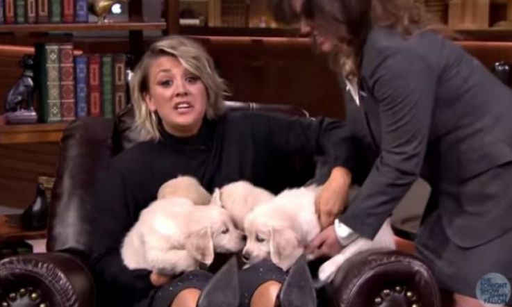 Cuteness Overload: Kaley Cuoco-Sweeting in ‘Double Puppardy’