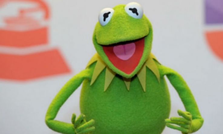 Kermit the Frog's New Squeeze Looks Quite Pink and Pig-Like...
