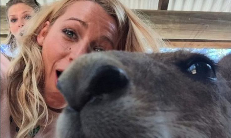 Blake Lively, Taylor Swift and 'Roo Hang Out in Oz