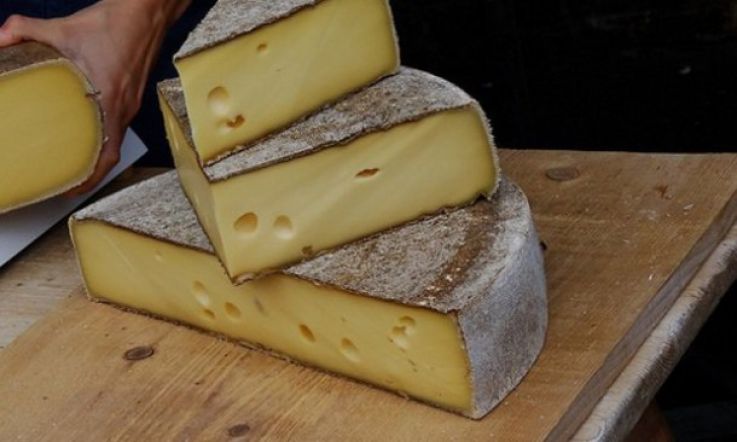 Research shows cheese triggers same part of brain as hard drugs