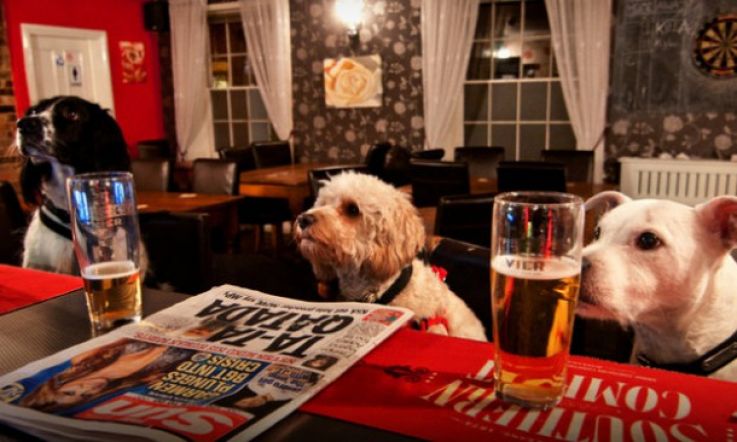 Dublin pub MVP are allowing dogs in as of today