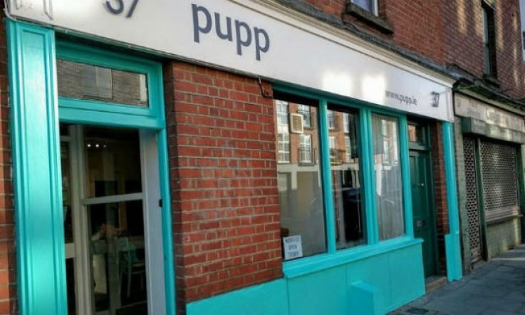 Woof! Dublin gets its very own dog cafe