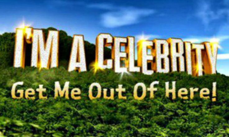 'I'm a Celebrity' camp on lockdown because of dangerous spiders