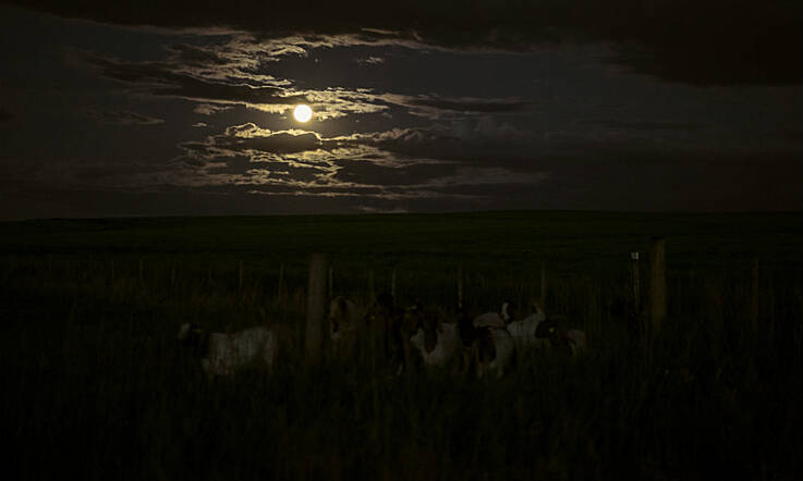 Tonight will see the largest full moon over Ireland since 1948