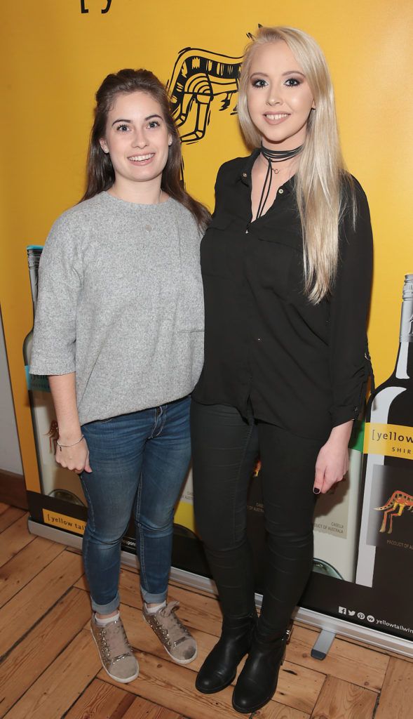 Lewina Callan and Kendra Becker at the Yellow Tail wine tasting festive event at Fade Street Social, Dublin (Picture: Brian McEvoy)