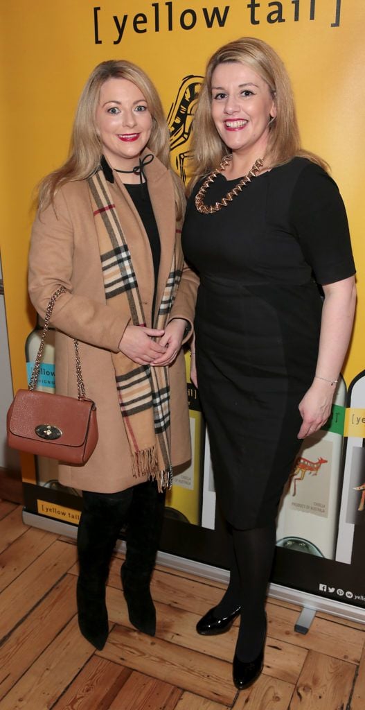 Lynn Daly and Grainne McDonagh at the Yellow Tail wine tasting festive event at Fade Street Social, Dublin (Picture: Brian McEvoy)