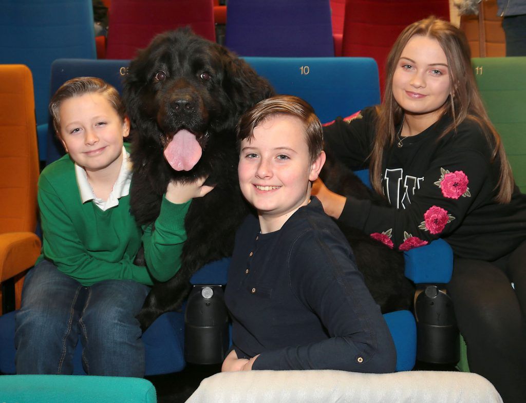 Ryan McDermott, James  McDermott and Juliette McDermott with their Newfoundland Dog Macey at the special preview screening of Isle of Dogs at the Lighthouse Cinema, Dublin. Photo by Brian McEvoy