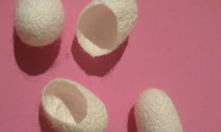 What on earth are silk cocoons? And do you need them in your beauty routine?