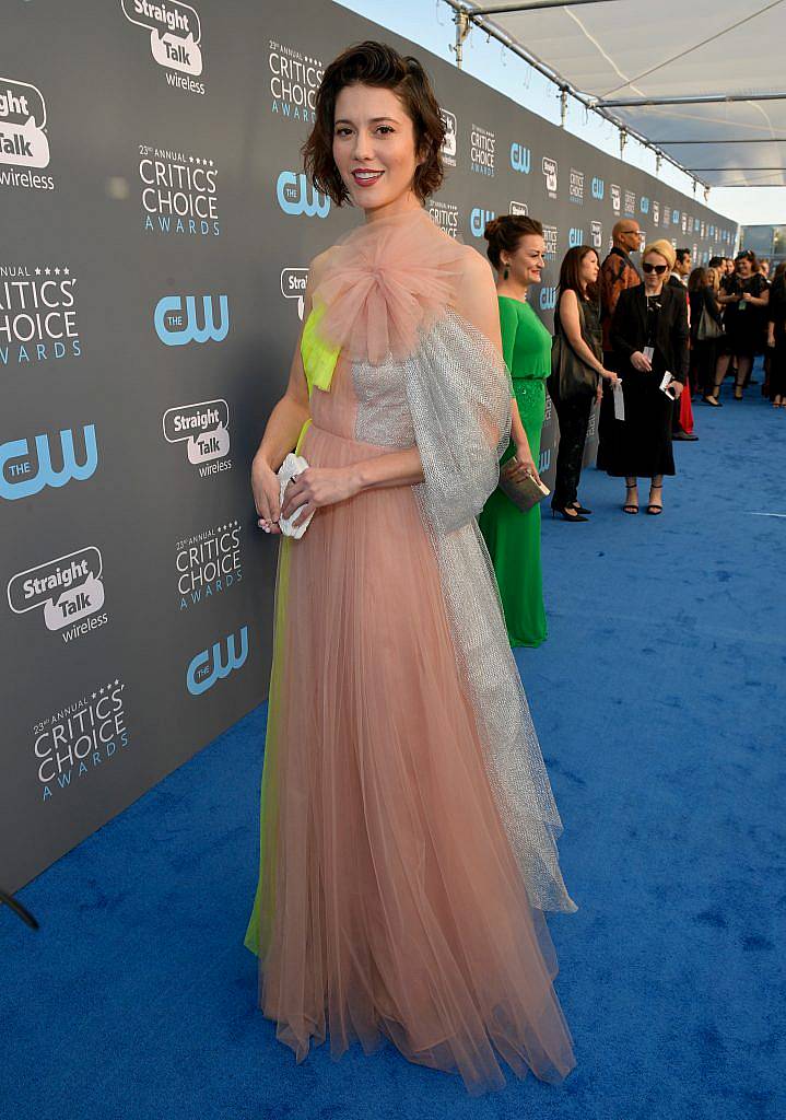 SANTA MONICA, CA - JANUARY 11:  Actor Mary Elizabeth Winstead attends The 23rd Annual Critics' Choice Awards at Barker Hangar on January 11, 2018 in Santa Monica, California.  (Photo by Matt Winkelmeyer/Getty Images for The Critics' Choice Awards  )