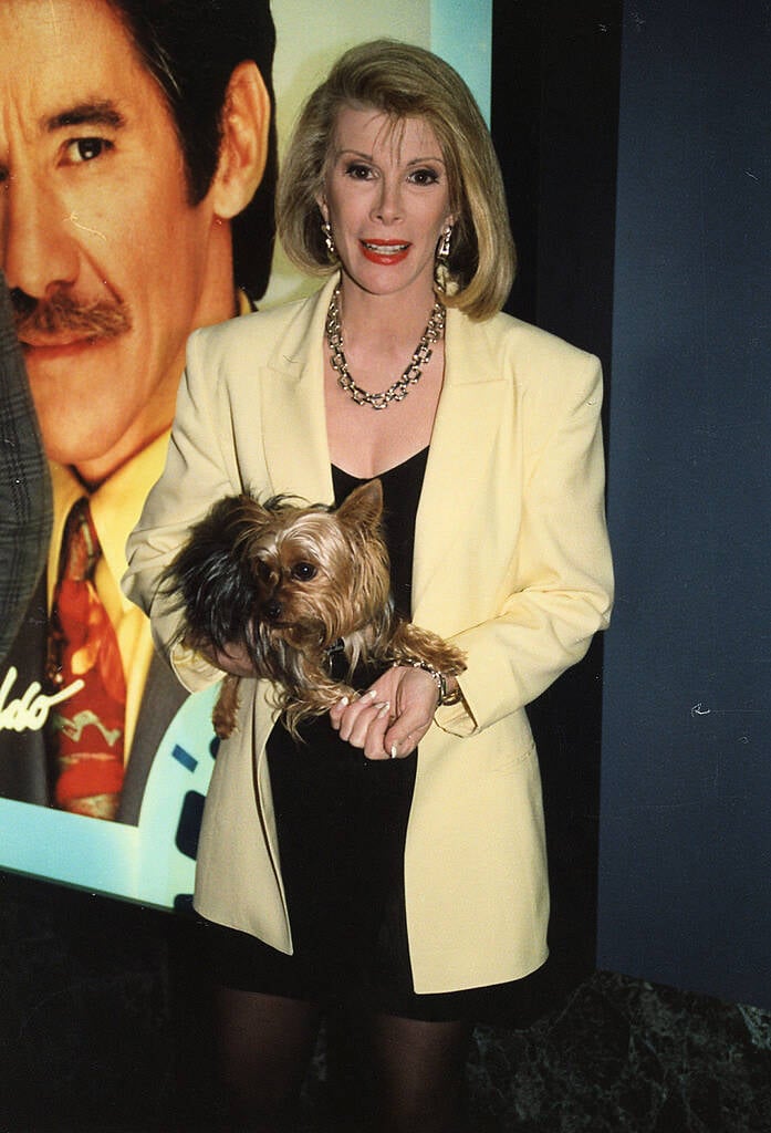 Joan Rivers at NATPE,Houston,Texas, 1991

Featuring: Joan Rivers
Where: Houston, Texas, United States
When: 29 Aug 2014
Credit: DJDM/WENN.com