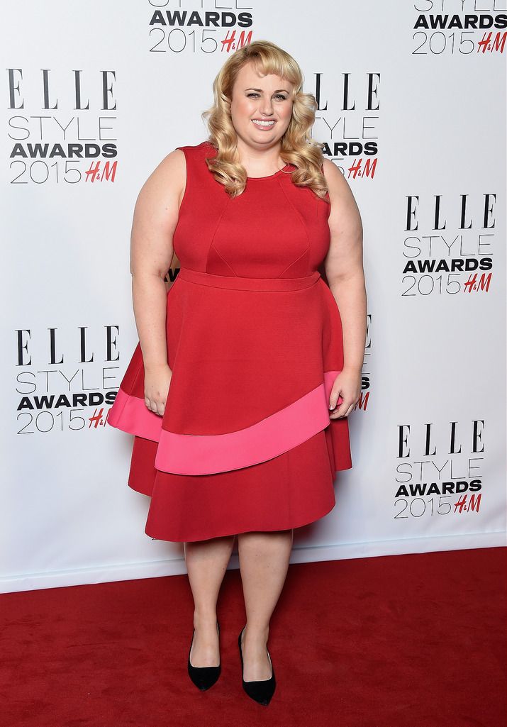 LONDON, ENGLAND - FEBRUARY 24:  Rebel Wilson attends the Elle Style Awards 2015 at Sky Garden @ The Walkie Talkie Tower on February 24, 2015 in London, England.  (Photo by Gareth Cattermole/Getty Images)