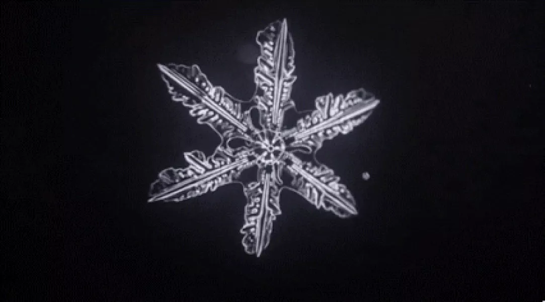 Snowflake Microscope GIF - Find & Share on GIPHY