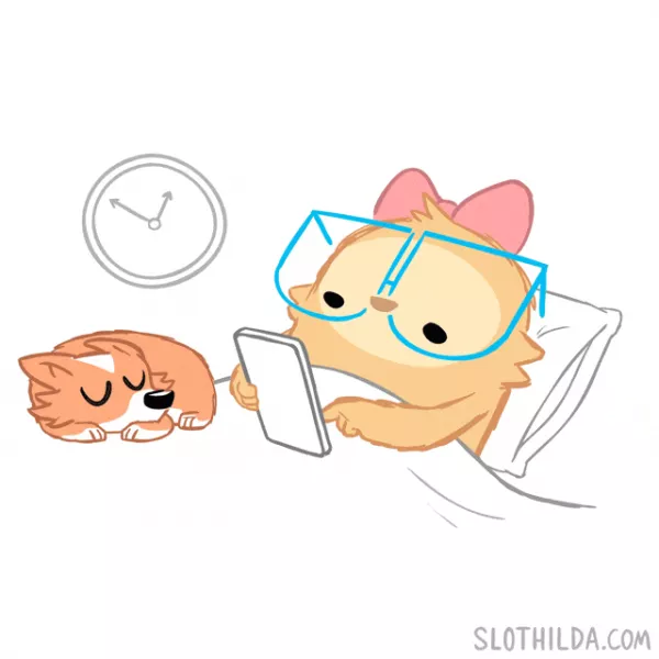 Playing In Bed GIF by SLOTHILDA - Find & Share on GIPHY
