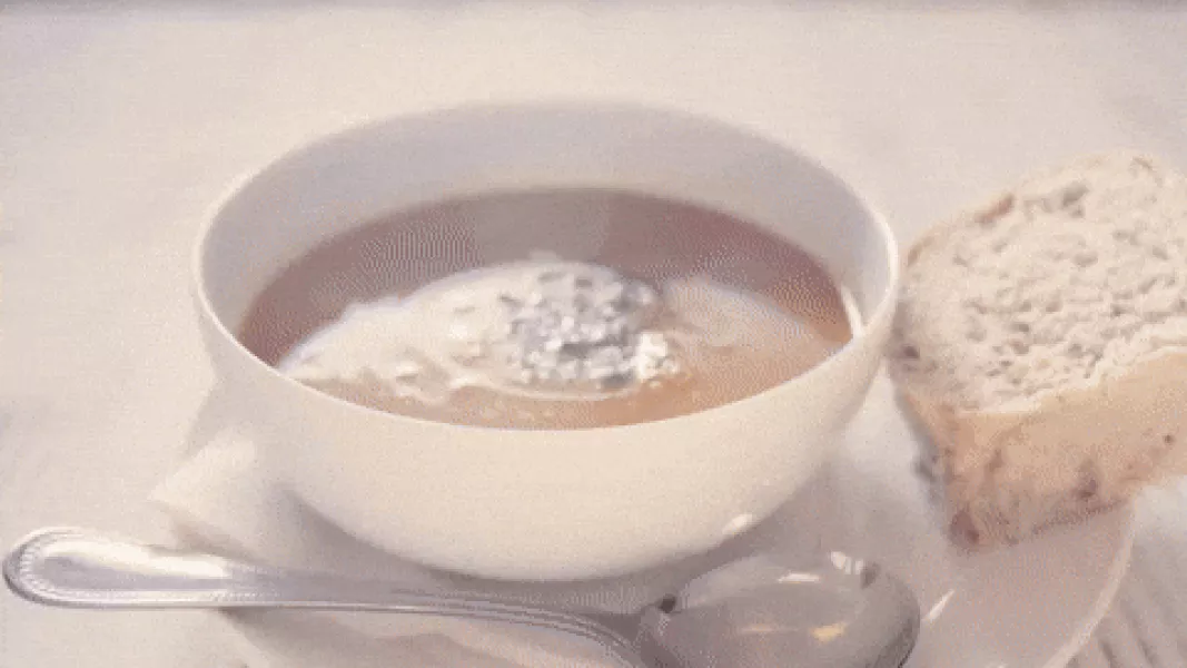 Fish Soup GIF by Fish for Thought - Find & Share on GIPHY