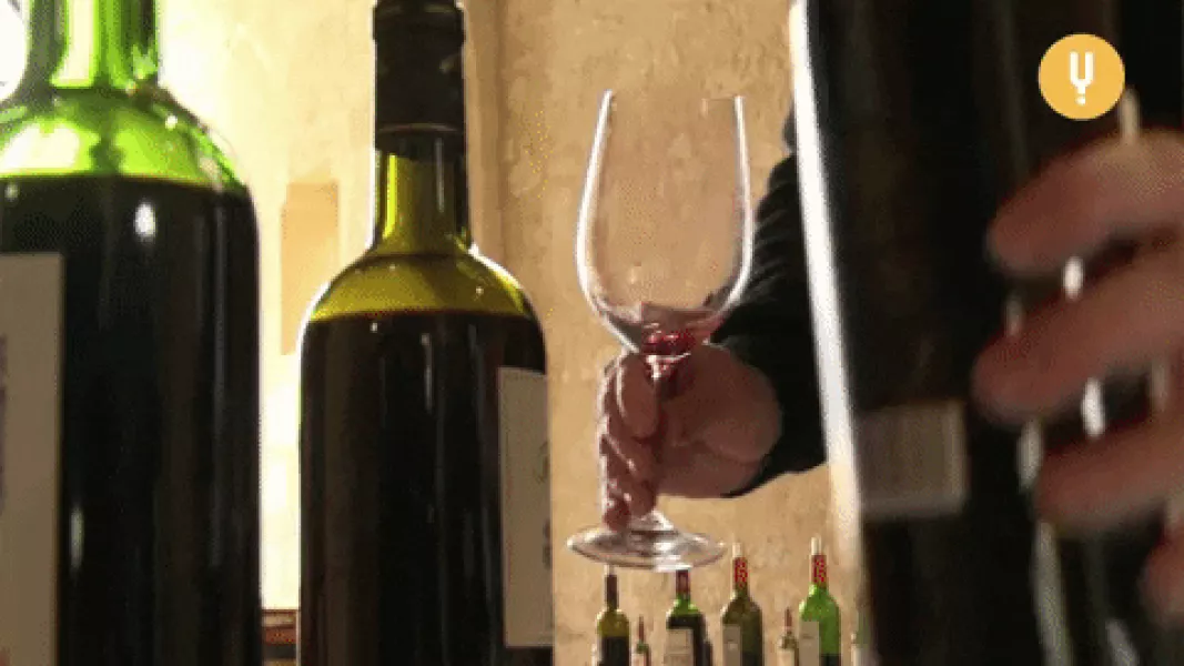 Red Wine Sommelier GIF by CuriosityStream - Find & Share on GIPHY