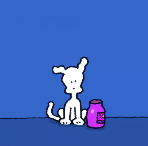 Heart Love GIF by Chippy the Dog - Find & Share on GIPHY