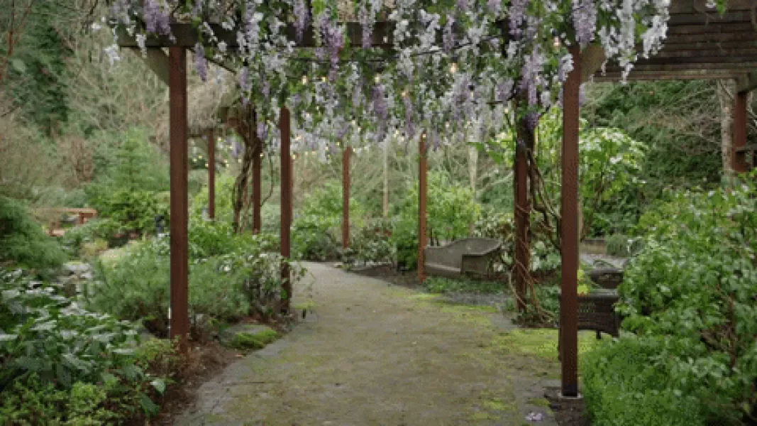 Garden Hclutr19 GIF by Hallmark Channel - Find & Share on GIPHY