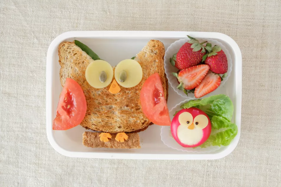 A lunchbox with an owl-shaped sandwich inside