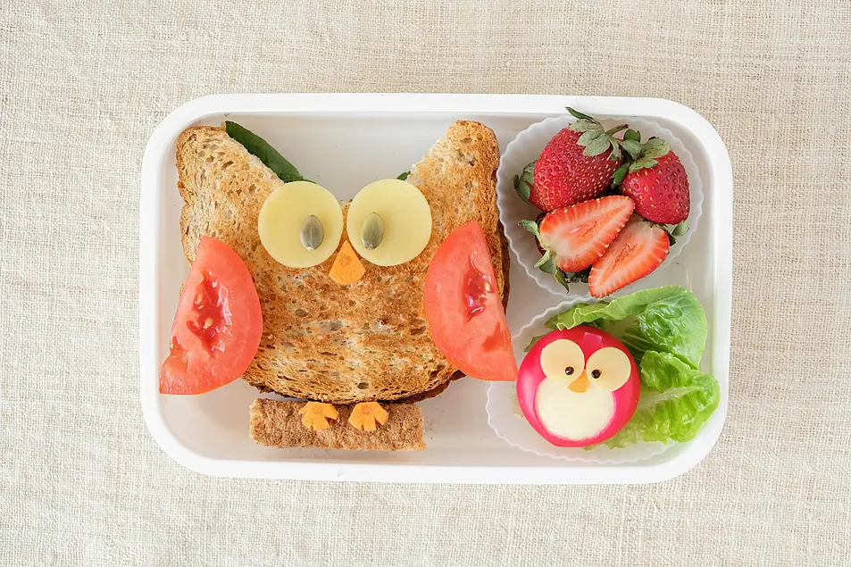 A lunchbox with an owl-shaped sandwich inside