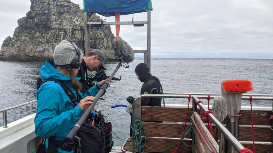 Saving Our Wild Isles film crew on location at Lundy Island filming seals and seabirds aboard Obsession II. Diver and underwater camera operator Holly Tarplee prepares to swim with seals. (Laura Howard / Silverback Films)