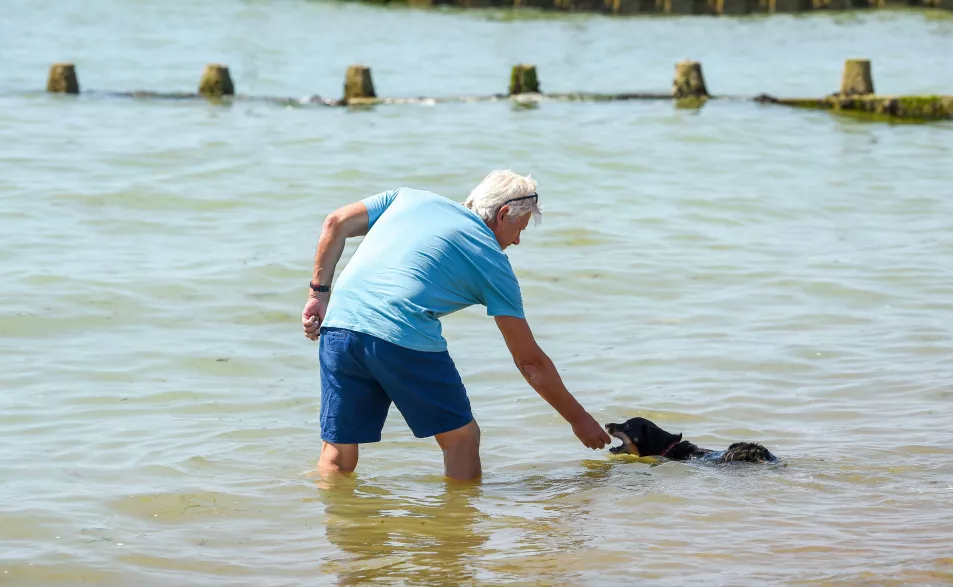 Man and dog in sea