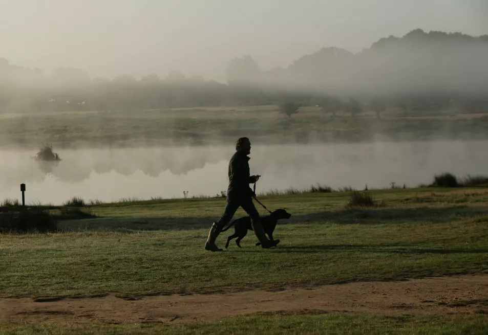 A man walking his dog through parkland