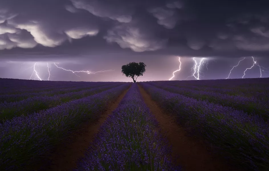 Electric Storm on Lavender by Juan López Ruiz