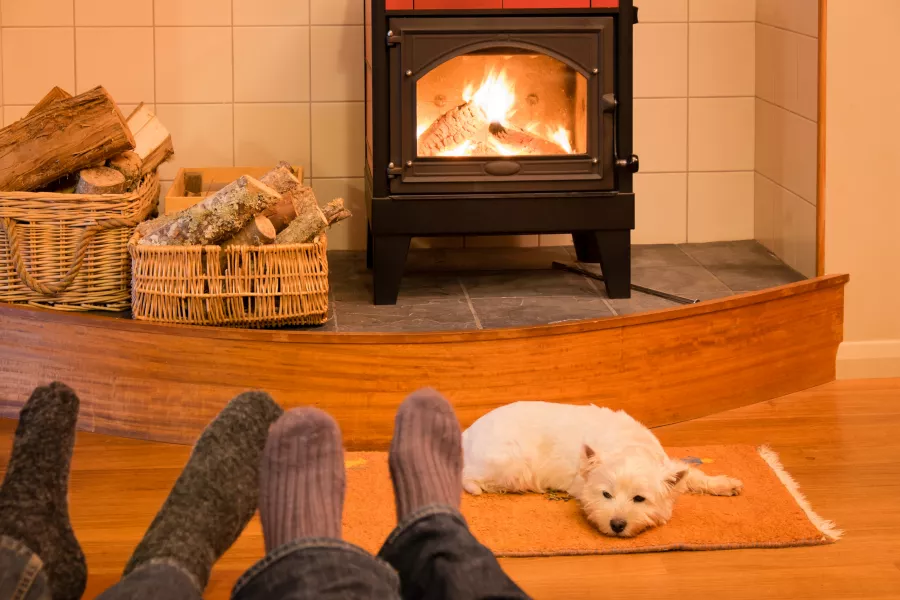 dog in front of a log fire
