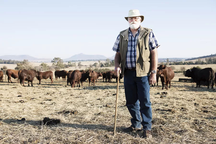 A bearded man standing in front of some cattle