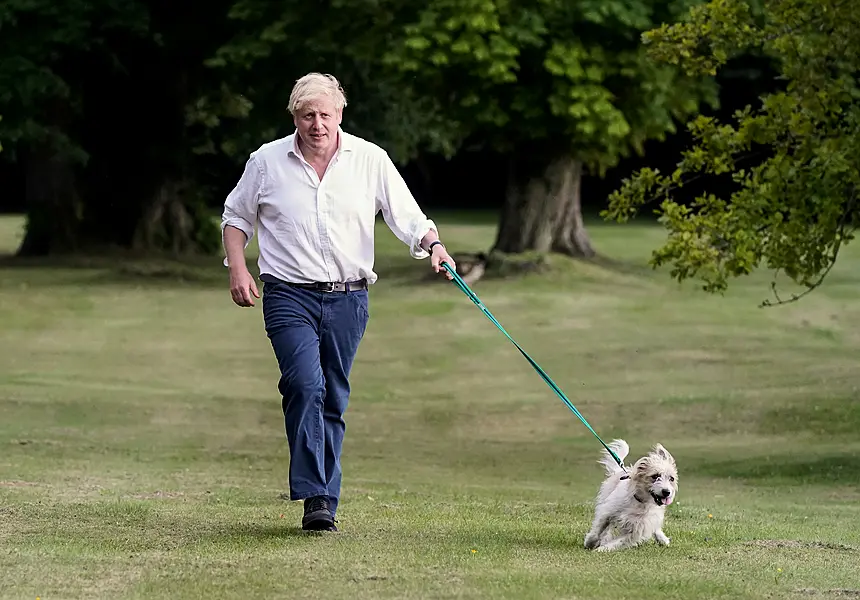 A picture of Boris Johnson with his dog Dilyn taken by taxpayer-funded photographer Andrew Parsons