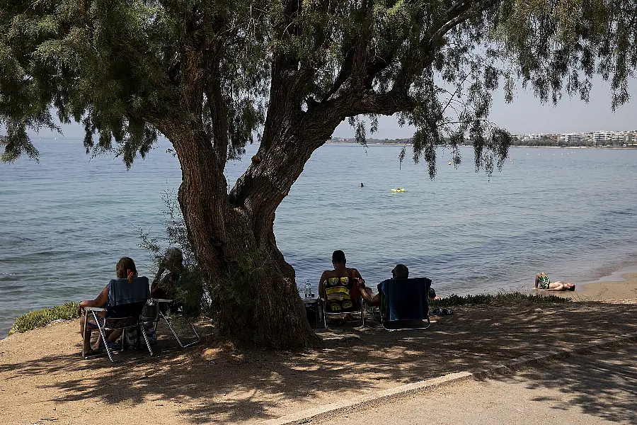 A man sunbathes as others sit under a pine tree at a beach of Kavouri suburb, south-west of Athens