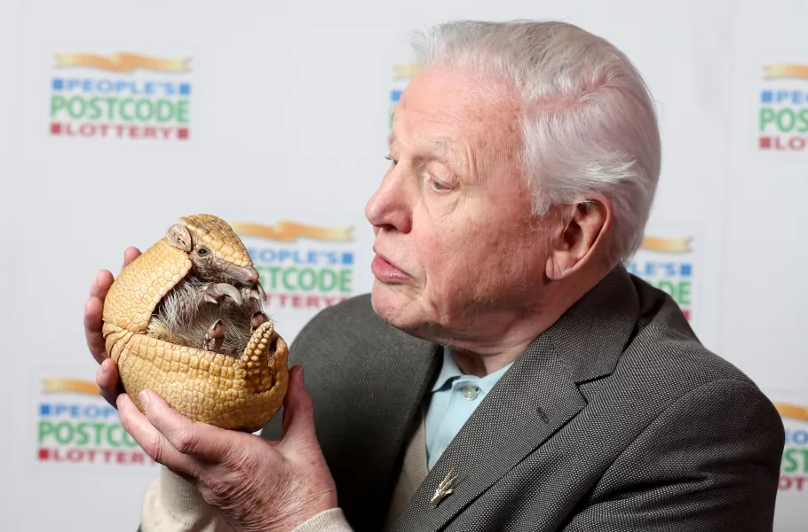 Sir David Attenborough holds 'Inti', an armadillo from Edinburgh Zoo 