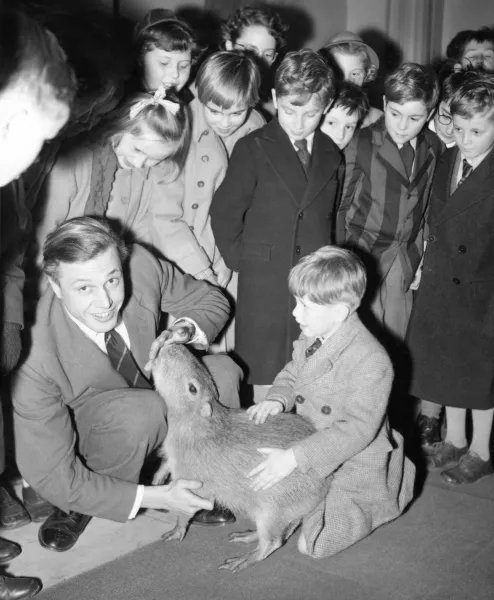 Attenborough and a capybara after giving a lecture about his expedition to British Guiana in 1956