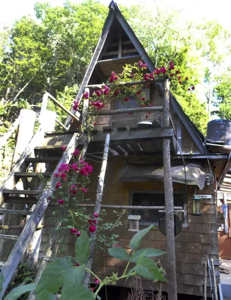 The shack that David Lidstone, 81, has built and lived in for nearly three decades in the woods of Canterbury, New Hampshire 
