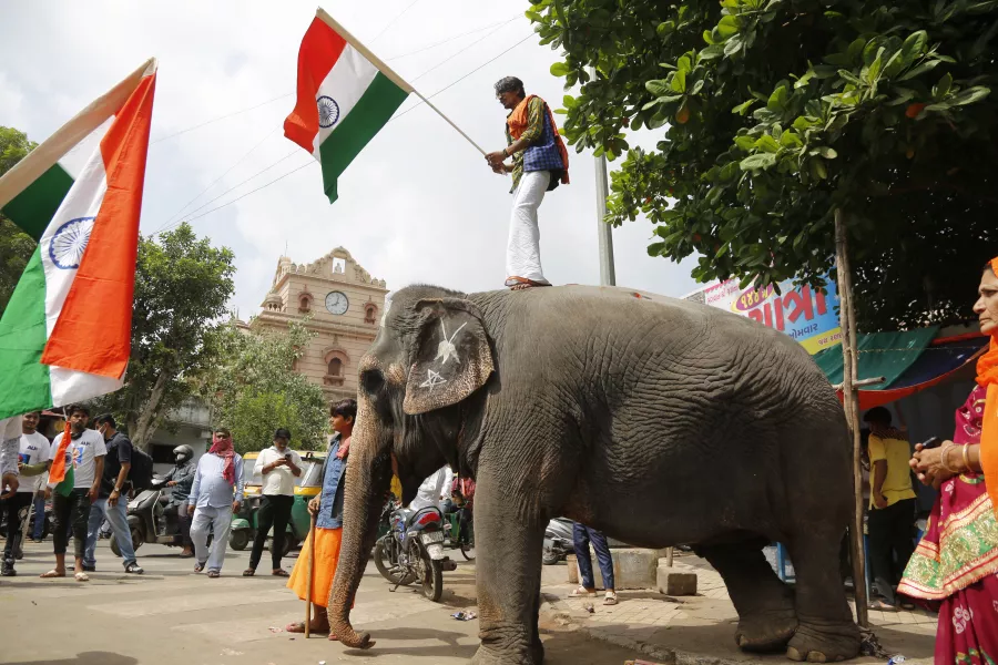 A mahout stands on his elephant holding a national flag during Independence Day celebrations in Ahmedabad, India