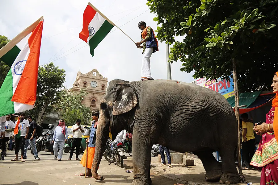 A mahout stands on his elephant holding a national flag during Independence Day celebrations in Ahmedabad, India