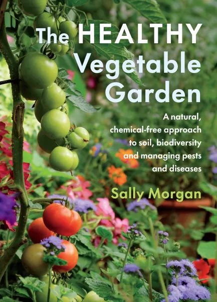 Book jacket of The Healthy Vegetable Garden by Sally Morgan (Chelsea Green/PA)
