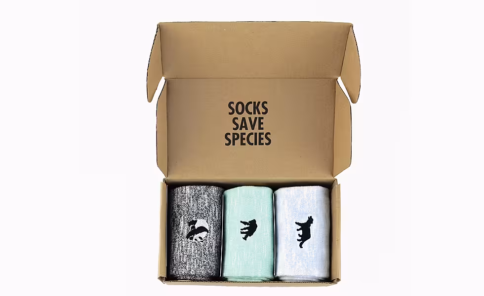 Critically Endangered Socks All 3 Speckled