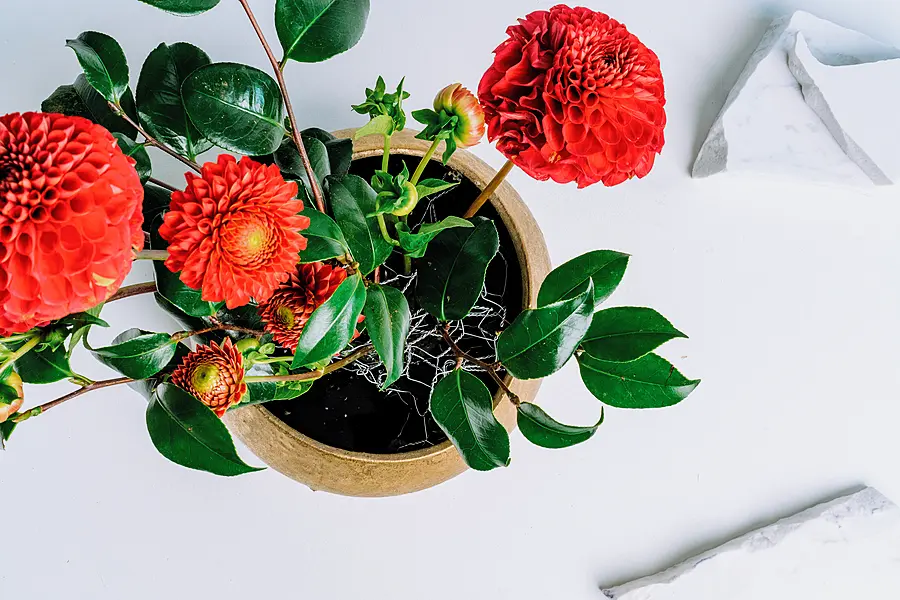 Combining flowers in a festive tablescape Michal Kowalski/Michael Dariane/Blooming Haus/PA)