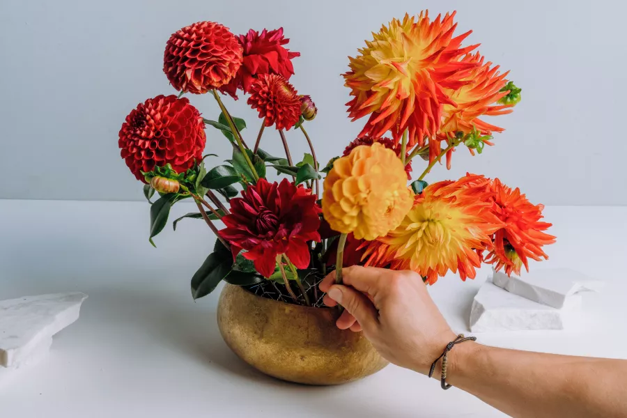 Vary flower heights in the bowl (Michal Kowalski/Michael Dariane/Blooming Haus/PA)