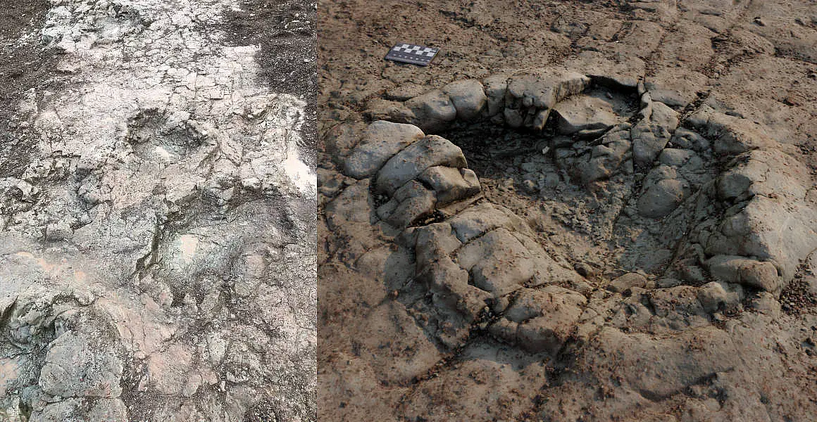 Experts recreated a 3D image of the footprint from the trackway in Penarth (Peter Falkingham/Natural History Museum/PA)