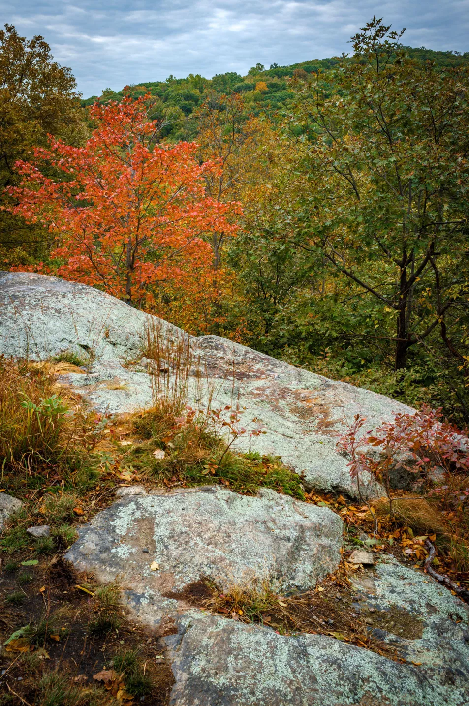 Ramapo mountain landscape, New Jersey (Alamy/PA)
